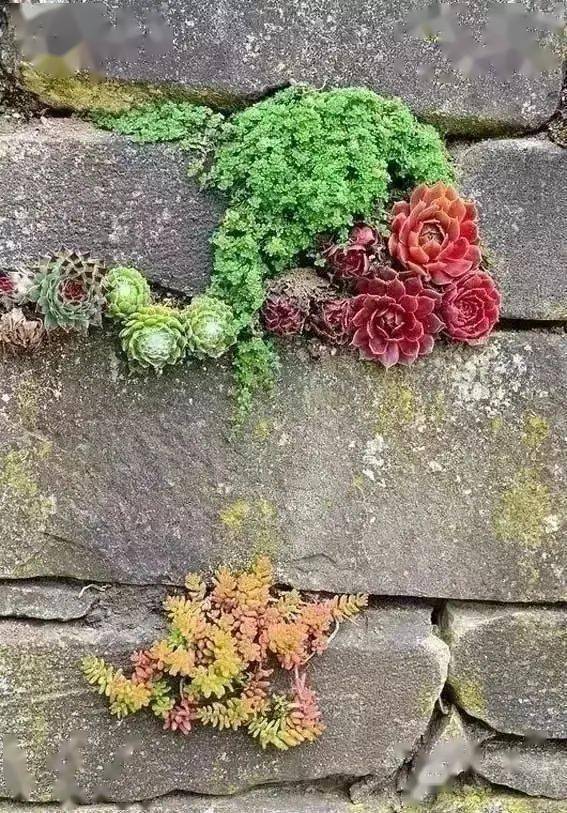 乡村景观一面石头墙惊艳整个乡村院落