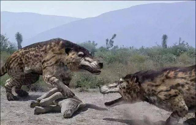 3000万年前,地球出现最大的狼,体长达5米,吞食一切的陆地怪兽
