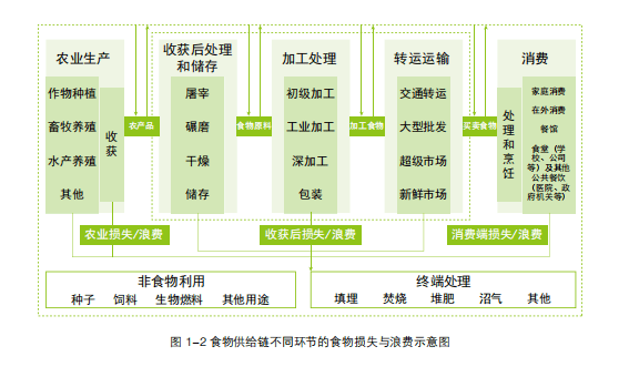 食物浪费有多严重数据触目惊心