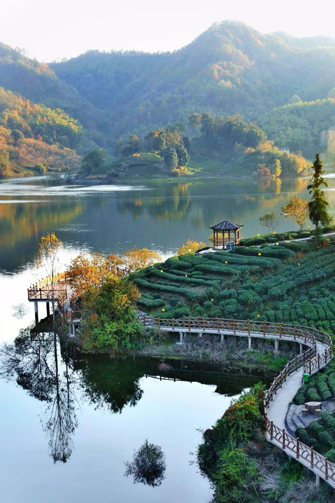 六安西茶谷大片一起饱览中国最美茶园风光