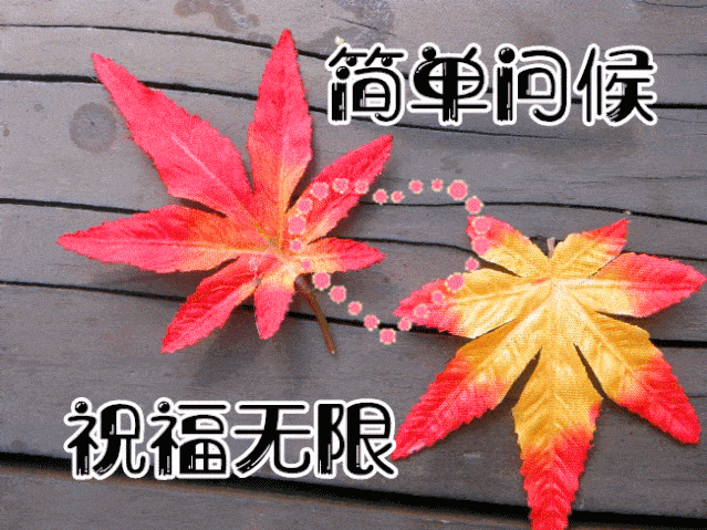 11月24日最漂亮早上好动态表情图片大全,早晨好动图美图大全_祝福