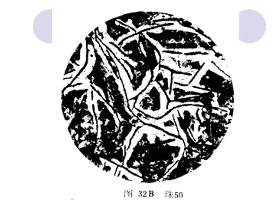 培训ppt:铸铁金相检验——灰铁