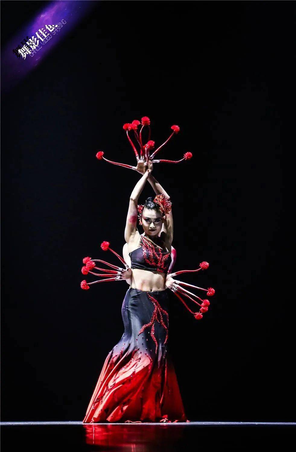 傣族舞蹈种类繁多,形式多样,长甲舞是最具特点的一种.