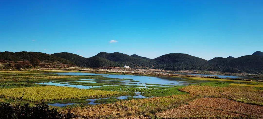 (马塘镇德厚水库)(喜古乡新寨村委会盘龙山水库)(德厚镇明湖村)(德厚