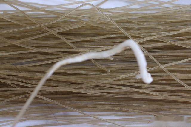 选粉条只需要用打火机烧一下真假粉条一看便知简单还实用