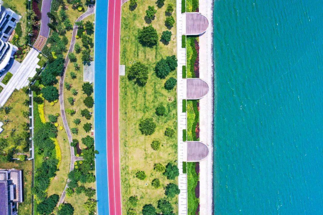 这次,ta们都来环东海域了!_手机搜狐网