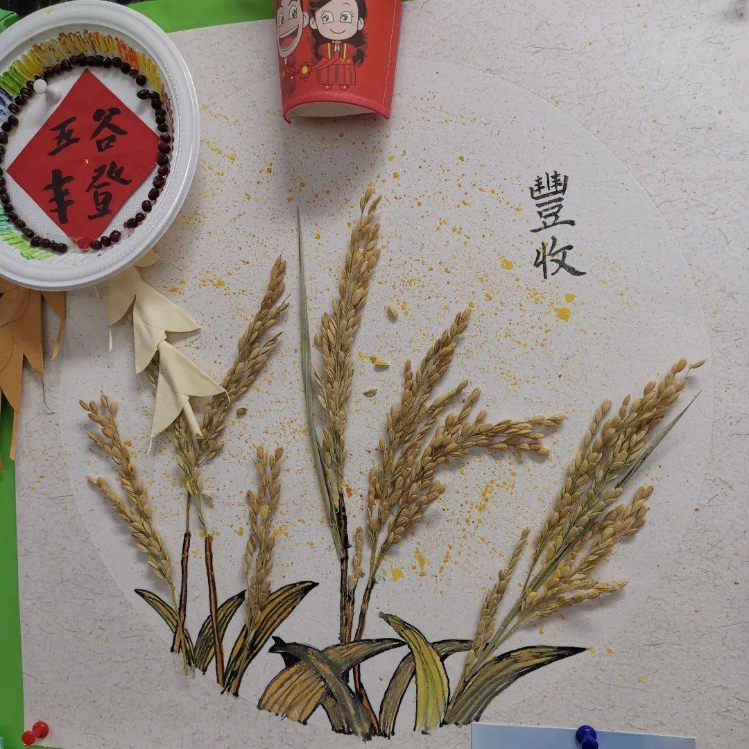 水稻标本制作方法图片