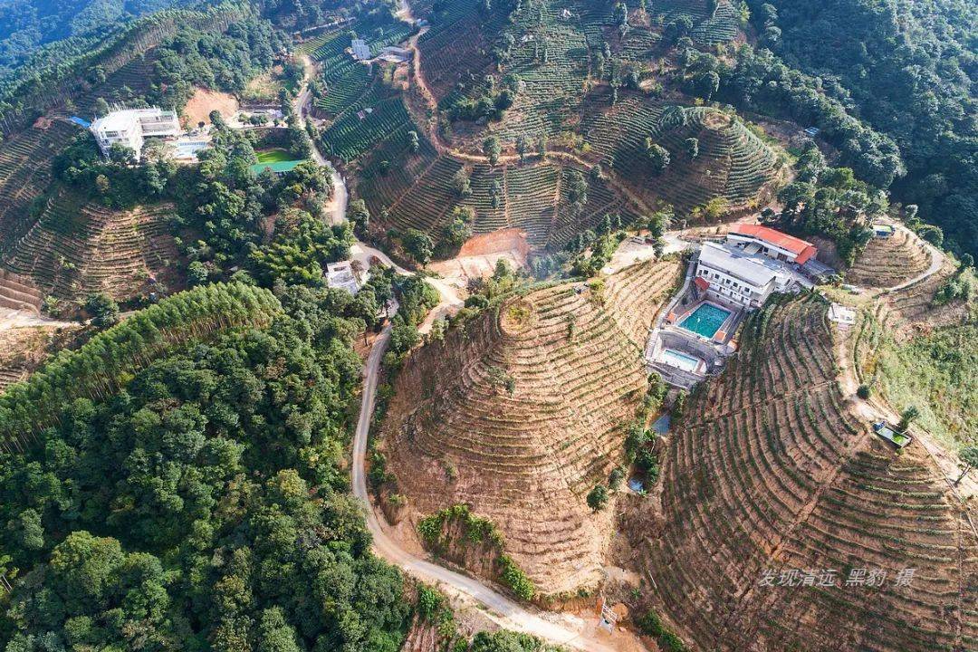 水泥公路在大罗山茶园嘎然而止,最后几百米弯道急,坡度较大.