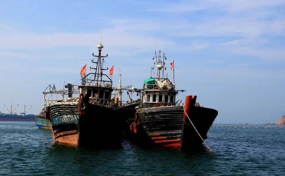 行集市带你鲜人一步舟山海鲜团购你家门口的码头海鲜来啦