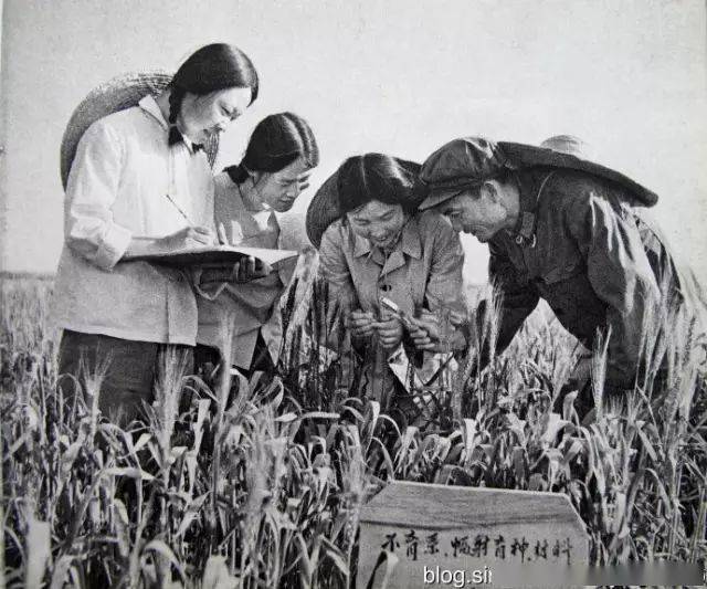 内蒙古知青们无伴奏合唱草原恋满满的回忆与感动太罕见了