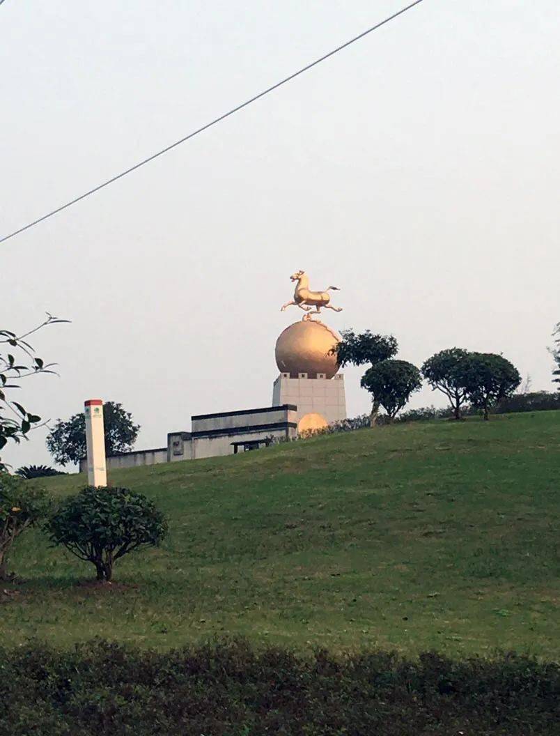 已落户东北部新城!_大安街道