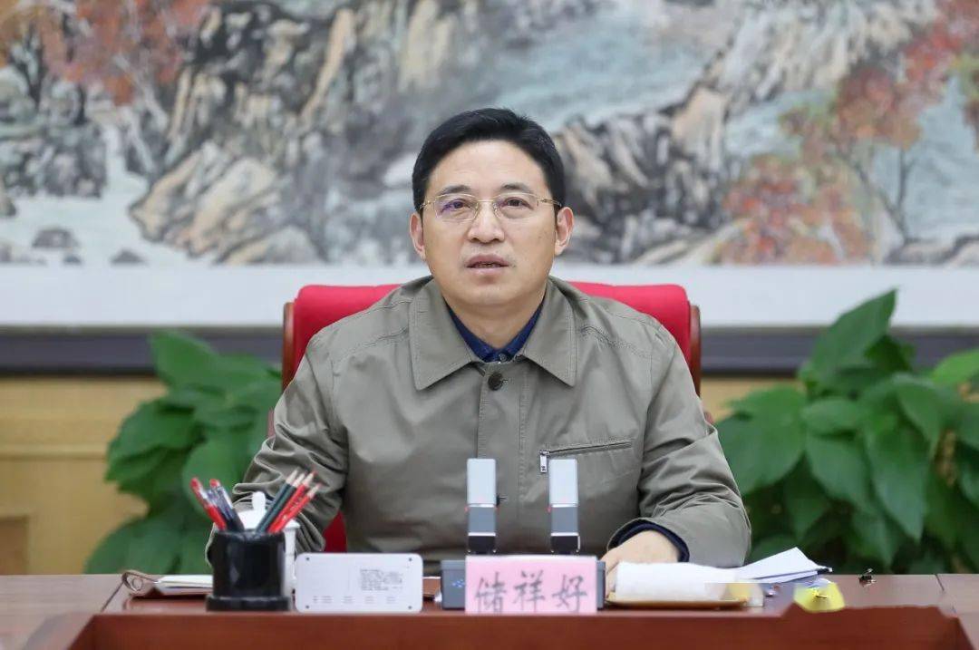 全市开发区问题整改推进会暨县(市,区)长例会召开 储祥好主持