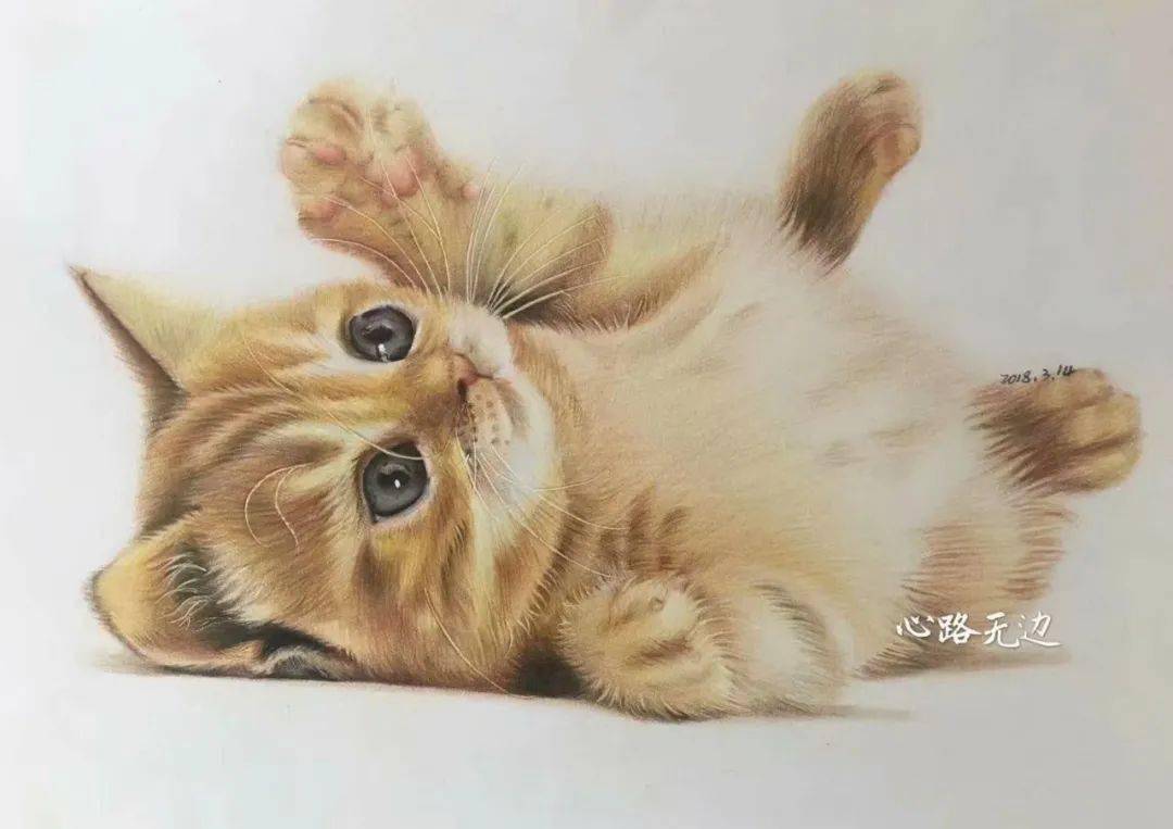 彩铅画笔下的可爱猫咪也让猫奴爱不释手