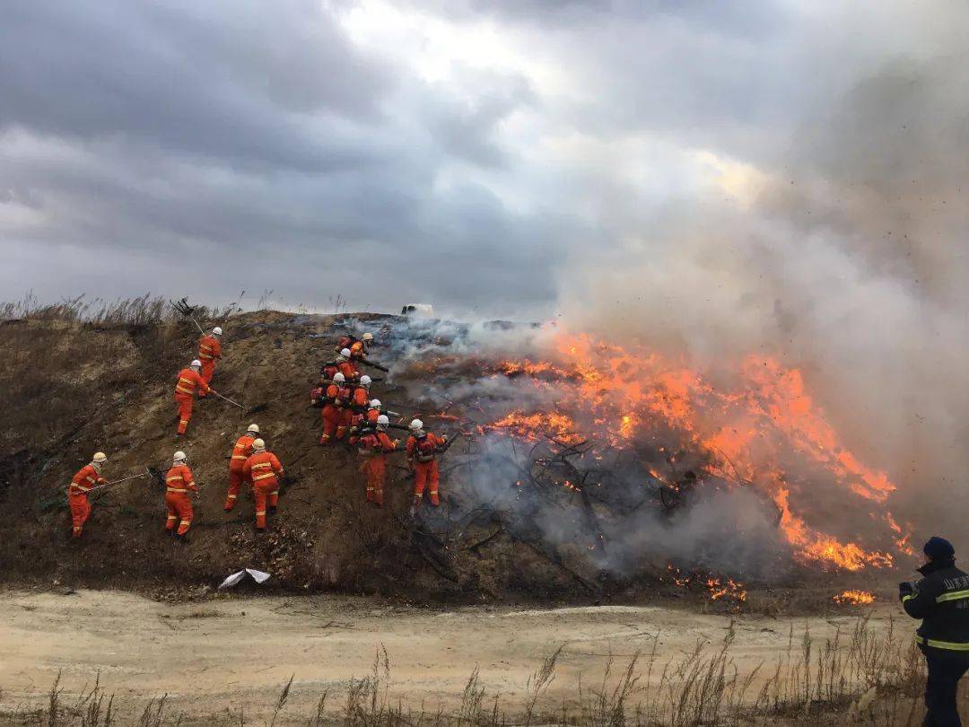 队员迅速出动前往火灾现场龙口市森林消防专业队伍以练为战筑牢安全