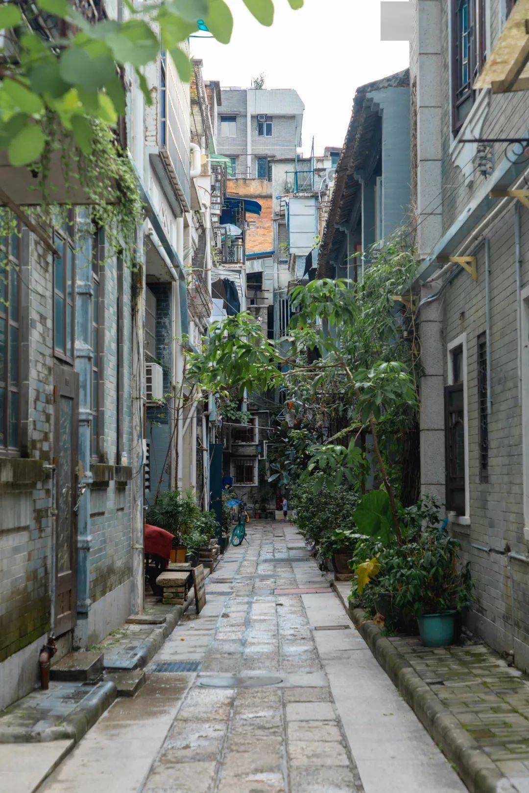 美食街每一条单独拿出来都能吃到扶墙出广州上榜的就是文明路和泮塘路