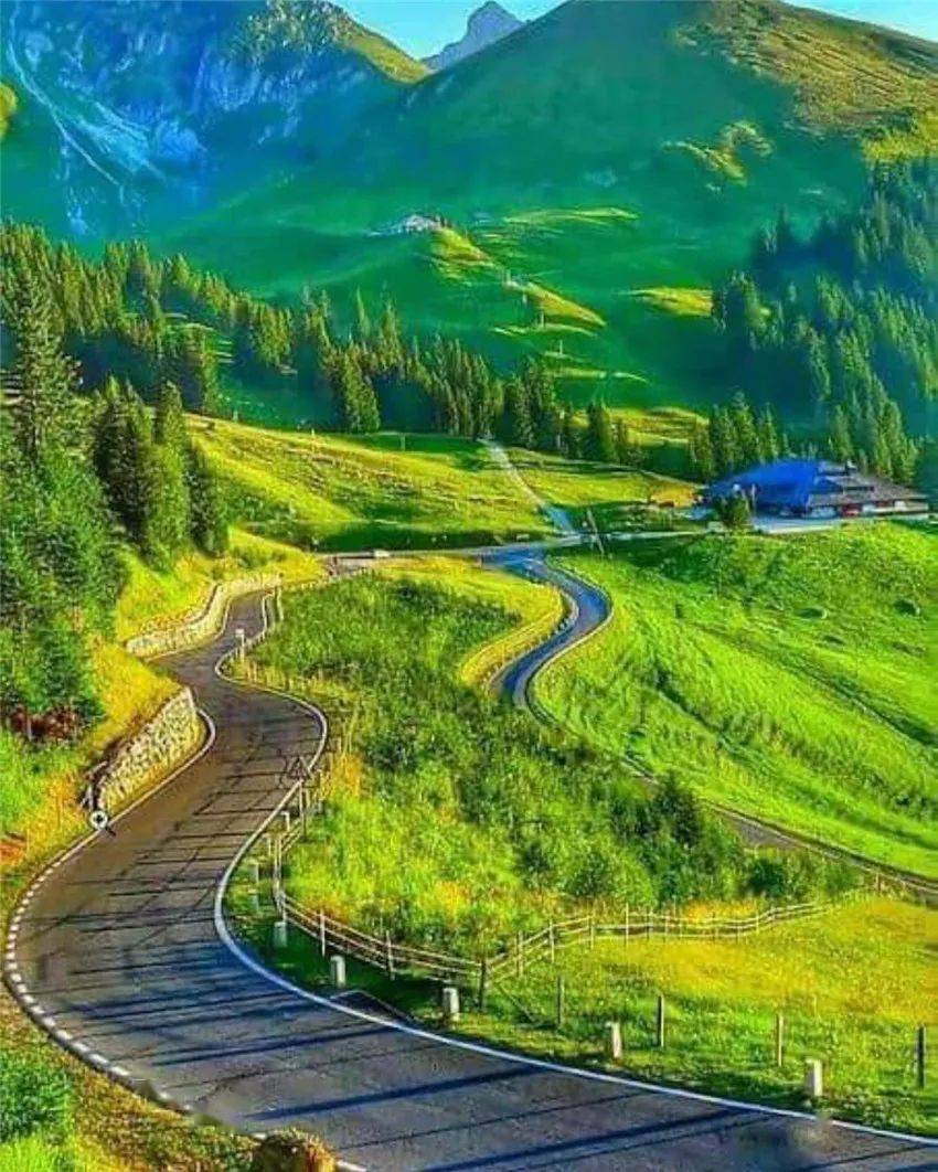 养眼风景迷人的绿