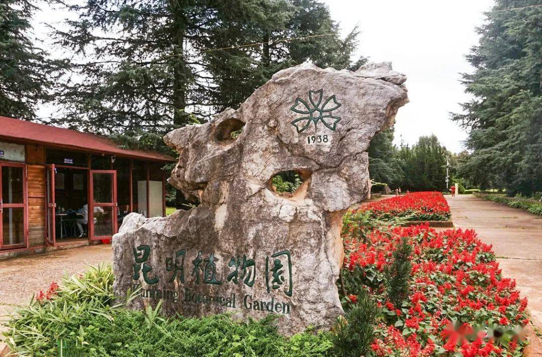 昆明走进植物园