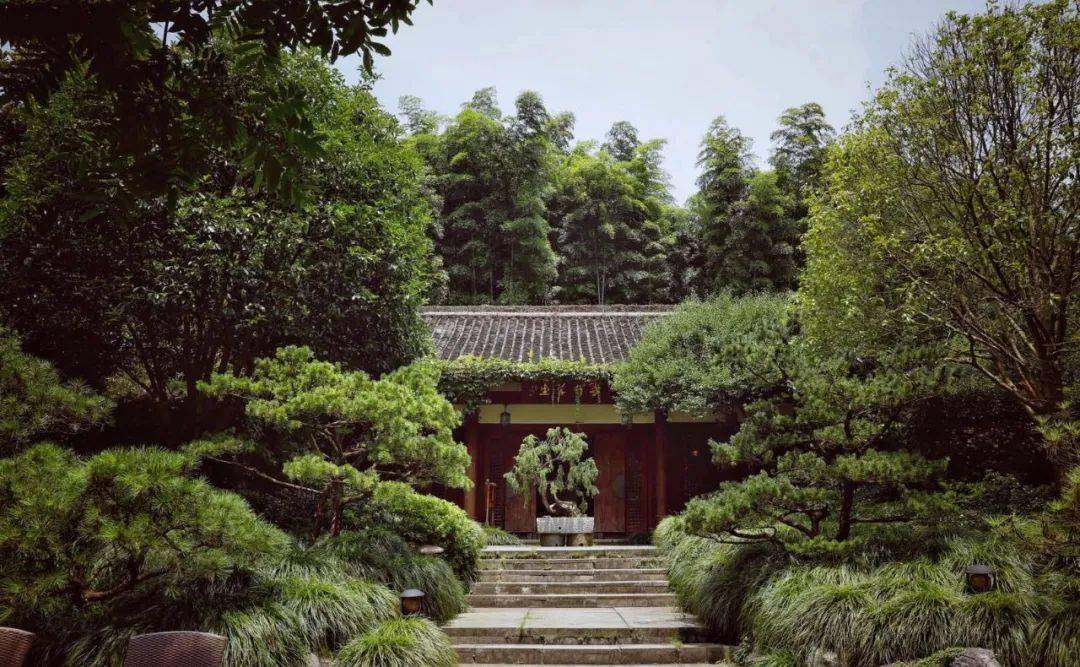 餐饮人日记94龙井草堂主理人戴建军食物是一切生活的源头