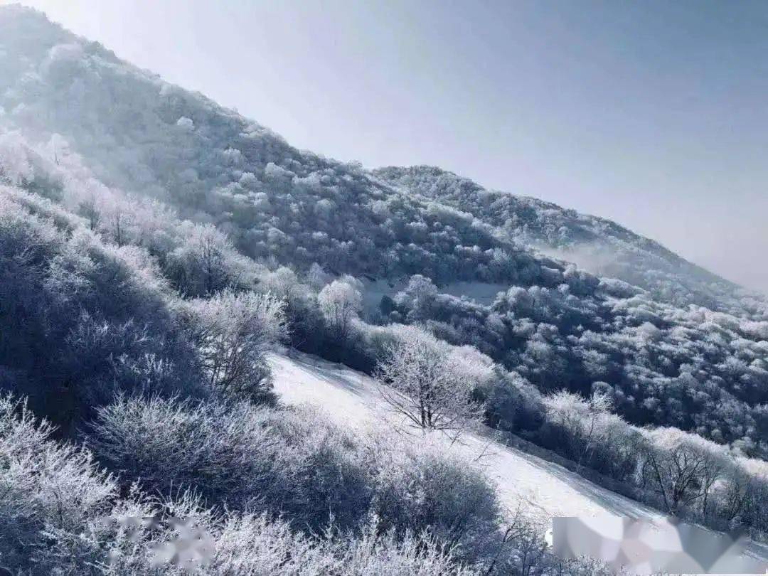 冬游河南巩义的雪景大片美呆了