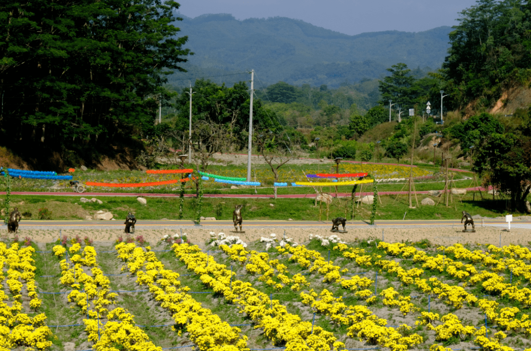 讓增城秋意甜蜜蜜_山村