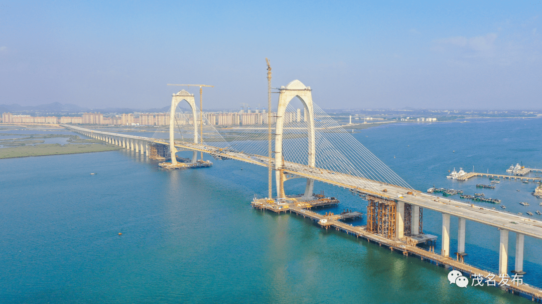 电白水东湾大桥图片