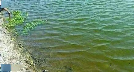 养殖天地虾塘水肥不起来肥水难可能是这些原因造成的