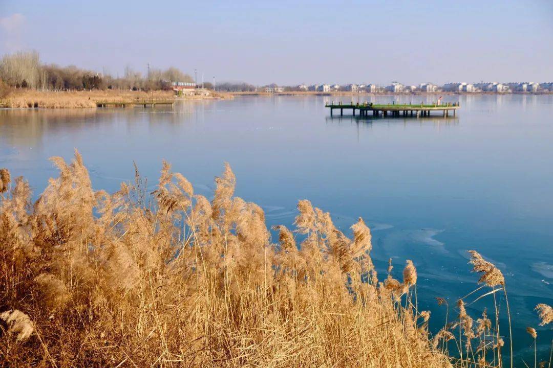 东河一景——冬日南海