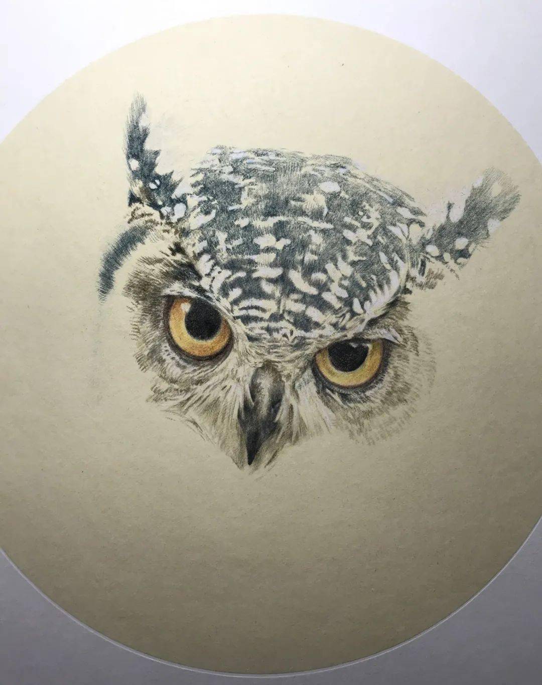 原生连线2020第5期王昱珩把美的瞬间变为永恒