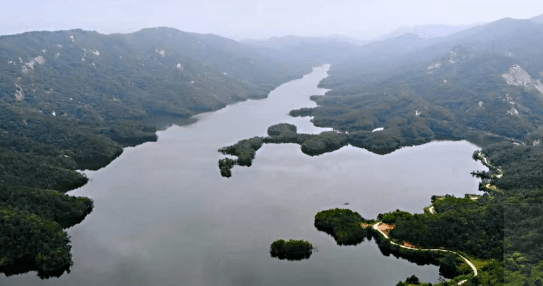 汇民声惠民生小林镇全力解决群众急难愁盼问题