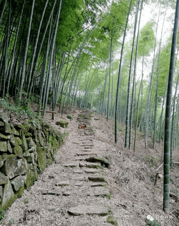 12月5日餘姚四明湖紅杉林燕窩古道一日遊