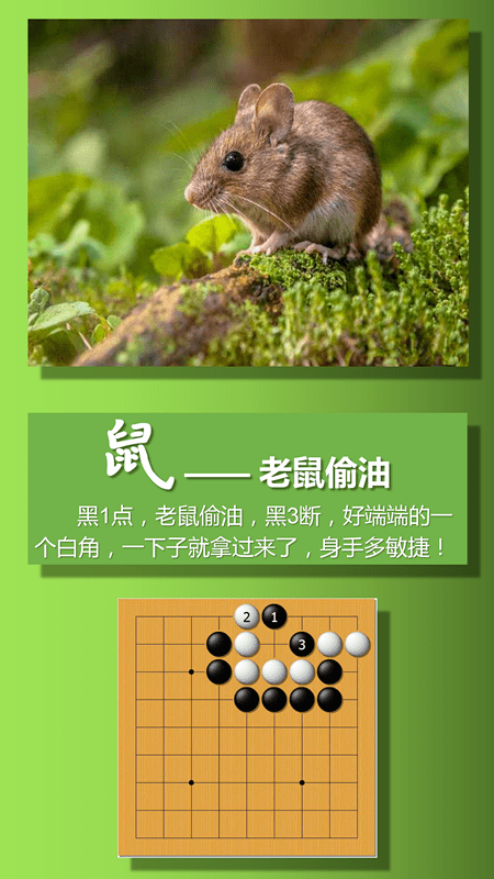 送给棋娃的礼物——十二生肖与围棋【美图版】