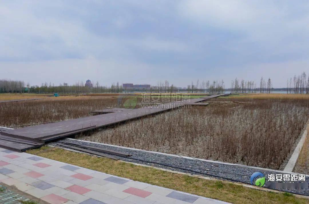 海安上湖新区八星湖生态区有多美走现在就带你去看