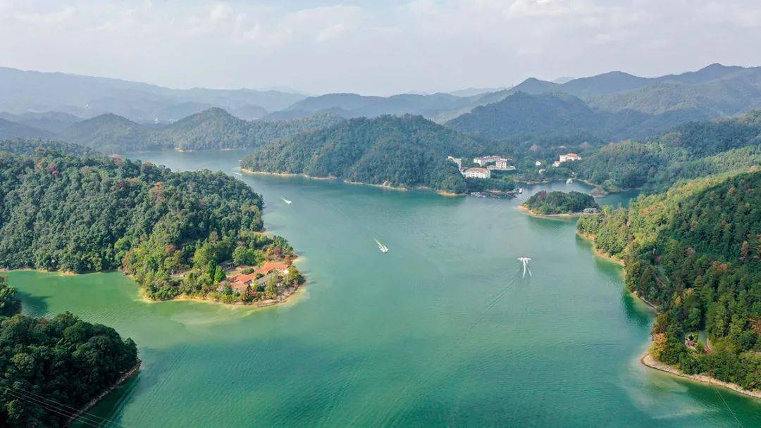 上犹江,渔产丰富,12.