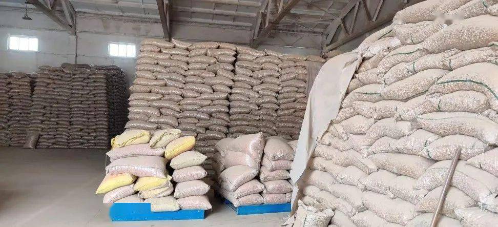 一德期货花生系列报告之二花生的收获存储和贸易