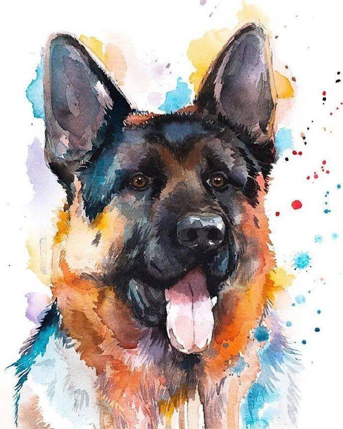 水彩插画|精彩的水彩动物肖像,同样的动物,不一样的魅力`