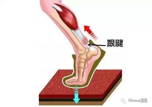 健身百問:100-13(如何應對,跑後足跟痛?)_手機搜狐網