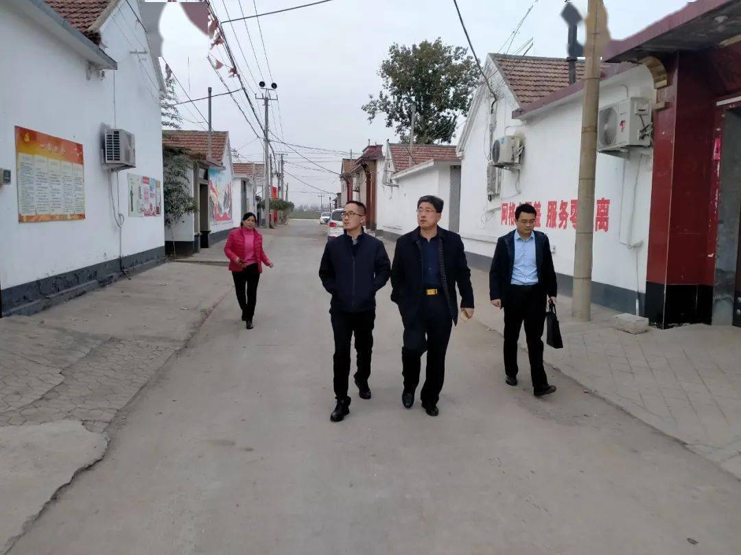 11月30日,市委宣传部督导组到我镇闫家村,永池村东夏村,茶棚村督导新