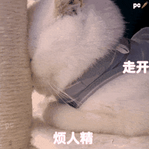 哥哥,陪陪我好吗 烦人精走开在吗?