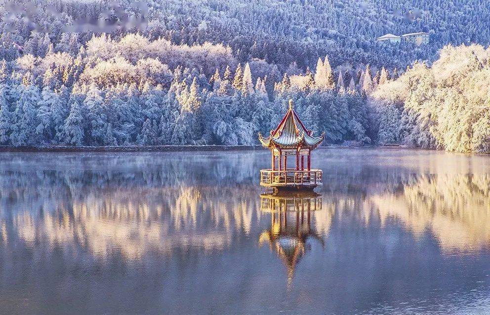 冬戀廬山南國雪景何處尋盡在冬日廬山享盡雲瀑霧凇無敵雪景