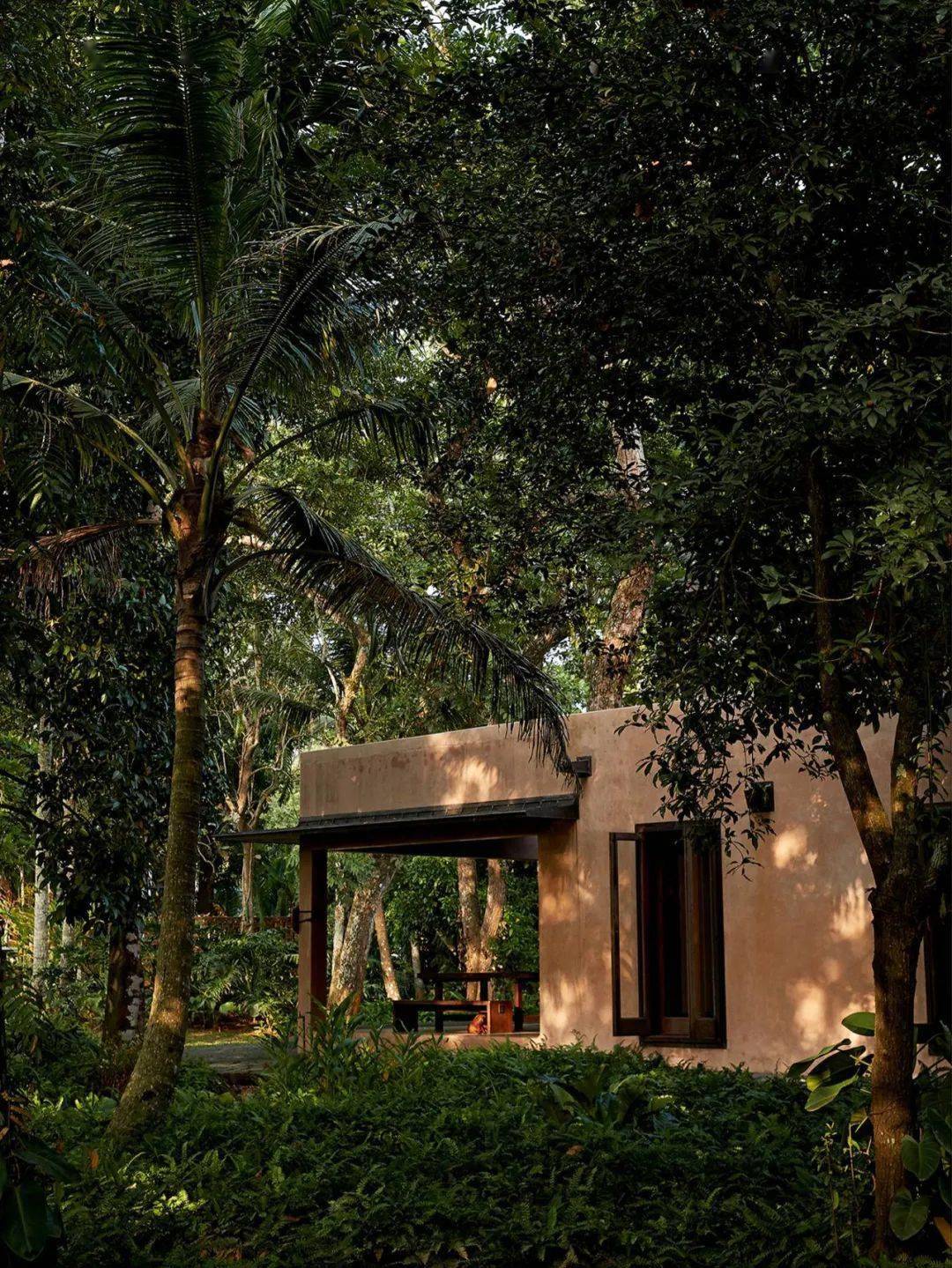 阿塞尔·维伍德 | 西方最懂侘寂美学的人_axel