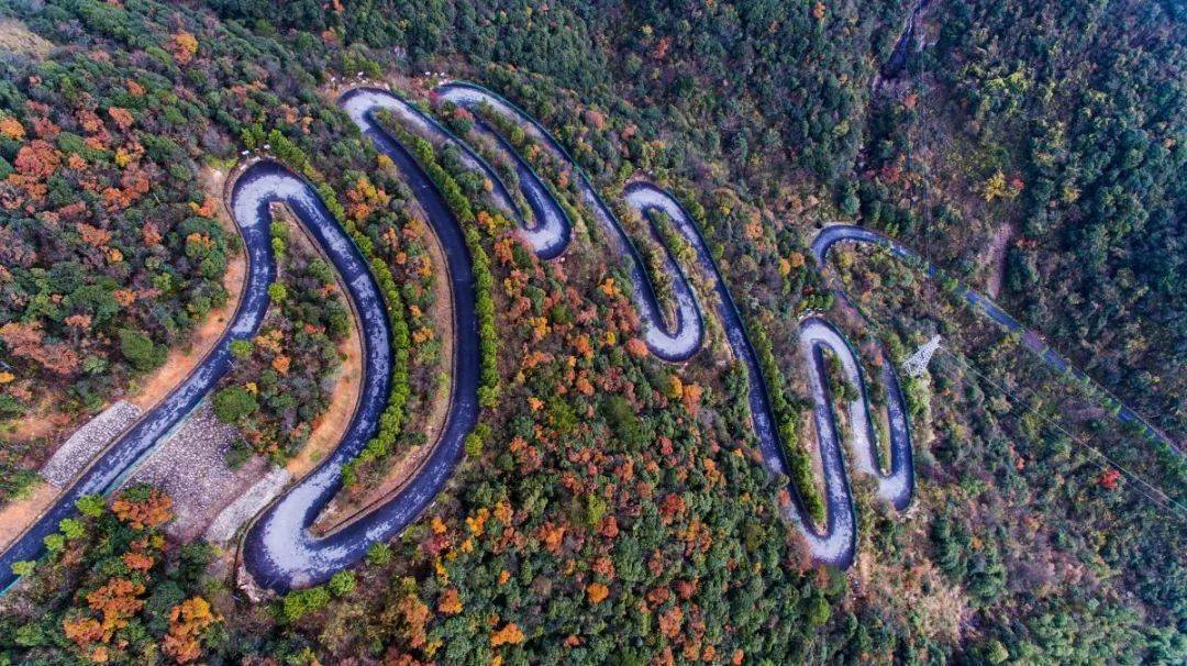 浙江最美自驾公路浦江图片