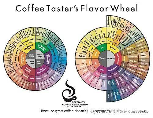 你真的了解新版咖啡风味轮吗?