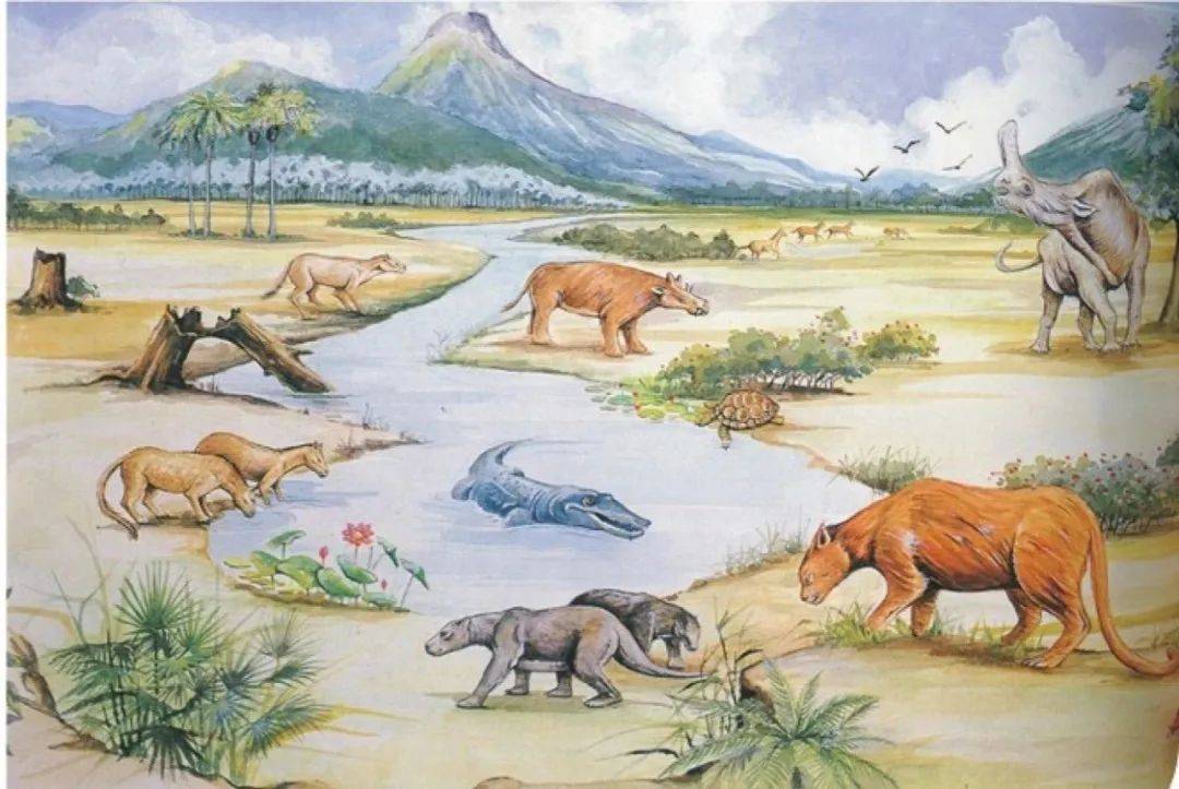 新生代分为古新生世,始新世,渐新世,中新世和上新世.