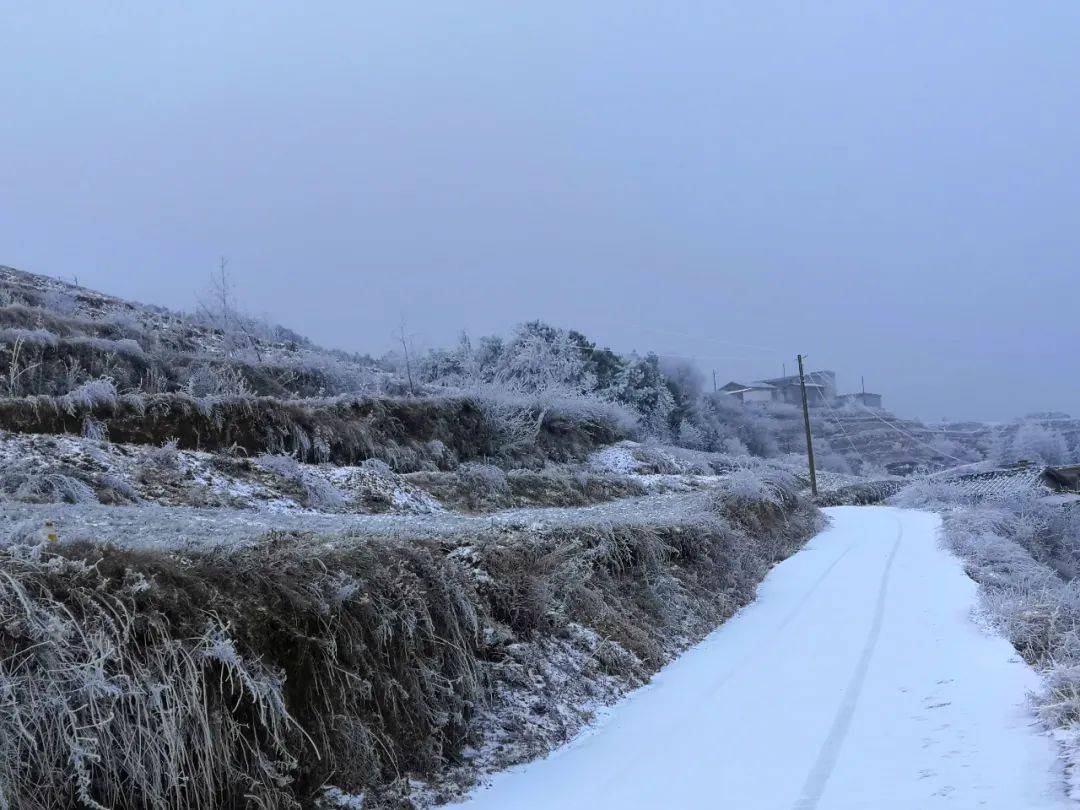 下雪了巧家这些地方迎来今年入冬后的第一场雪