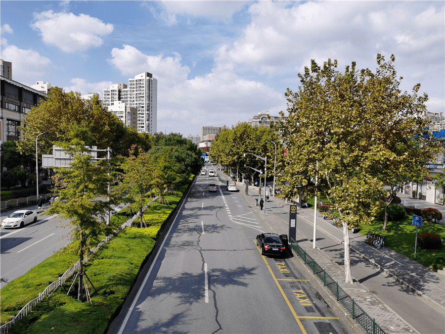奉贤这条路入选2020年度上海市绿化特色道路目前是最佳观赏期哦
