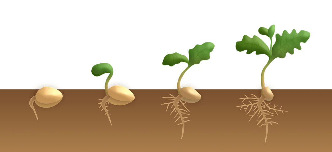 比喻从左边的创业死区开始,植物开始降落在肥沃的土地上孵化,种子生长