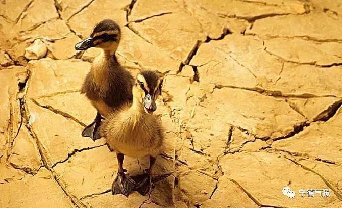 降水偏少气象干旱持续发展