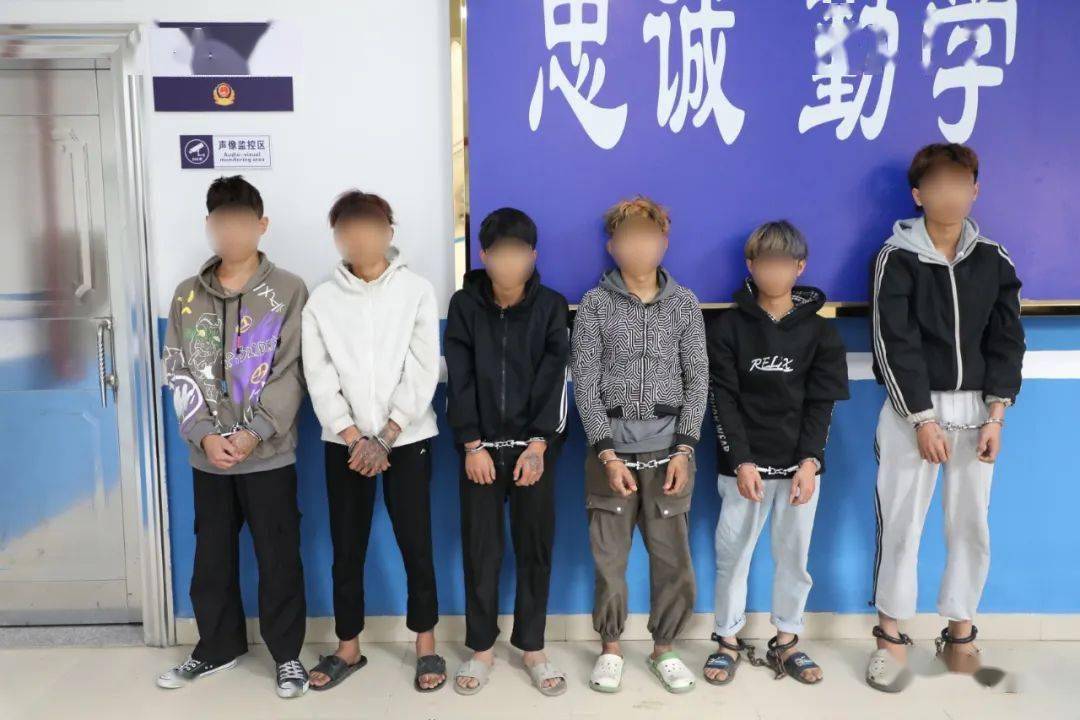 6人被抓普寧一群未成年人專盜電動車最小才14歲