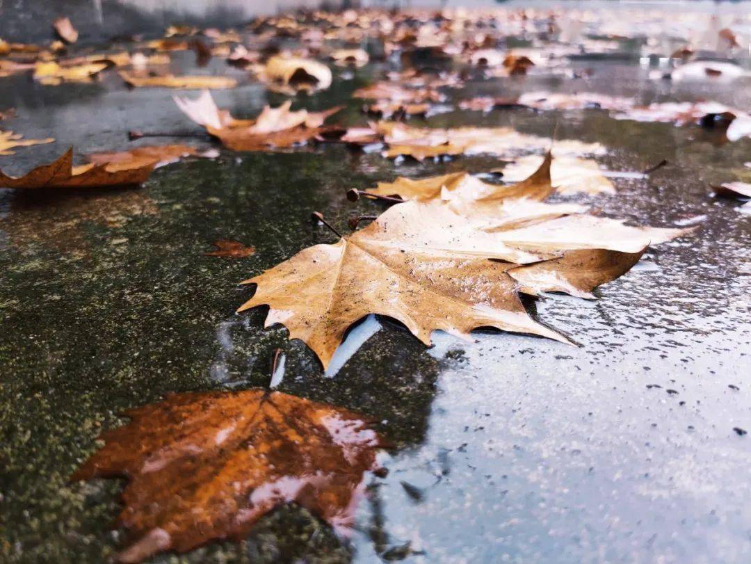 冬天的雨景色图片