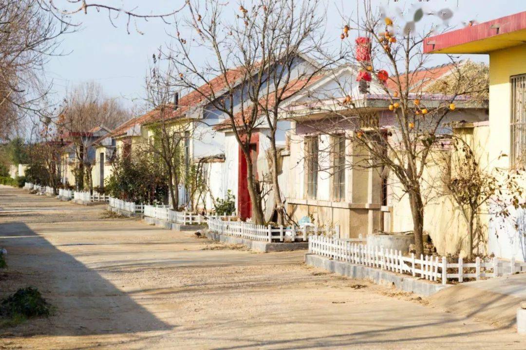 全国文明村镇巡礼丨青岛市黄岛区海青镇大陈村建立高效运转体质提升